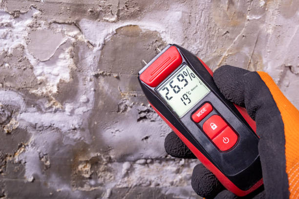 Best Black Mold Removal  in Tontitown, AR