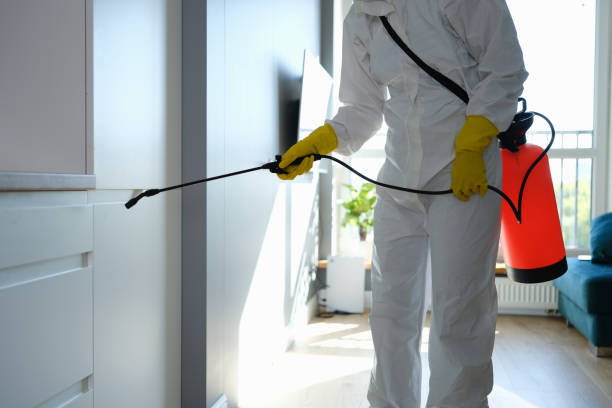 Best Mold Cleaning Services  in Tontitown, AR