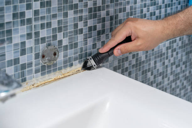 Best Emergency Mold Removal  in Tontitown, AR