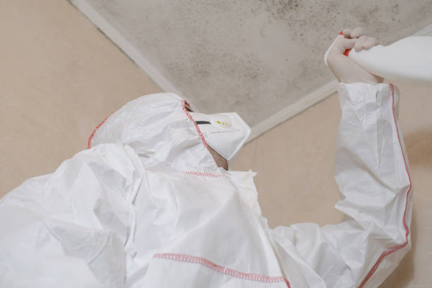 Best Mold Removal Specialists  in Tontitown, AR